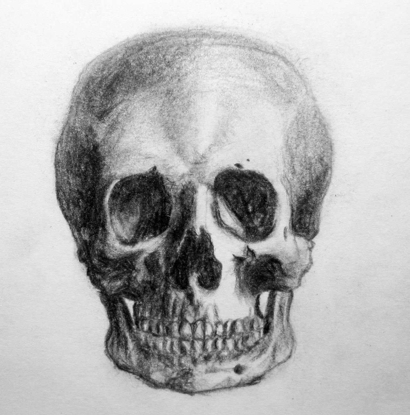skulls drawings